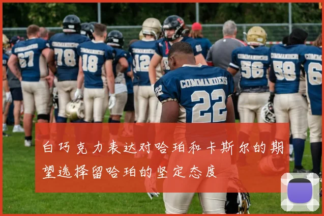 白巧克力表达对哈珀和卡斯尔的期望选择留哈珀的坚定态度