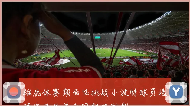 雄鹿休赛期面临挑战小波特球员选项字母兄弟合同即将到期