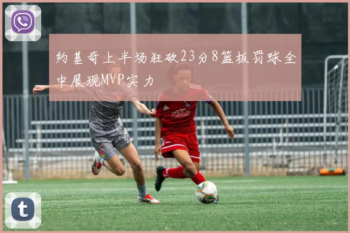 约基奇上半场狂砍23分8篮板罚球全中展现MVP实力
