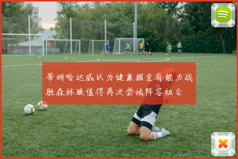 蒂姆哈达威认为健康掘金有能力战胜森林狼值得再次尝试阵容组合