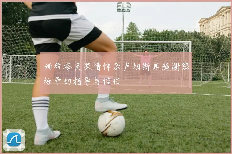 姆希塔良深情悼念卢切斯库感谢您给予的指导与信任