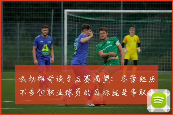 武切维奇谈季后赛渴望：尽管经历不多但职业球员的目标就是争取季后赛